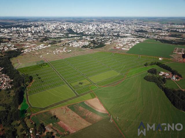 #163 - Terrenos para Venda em Cascavel - PR - 1