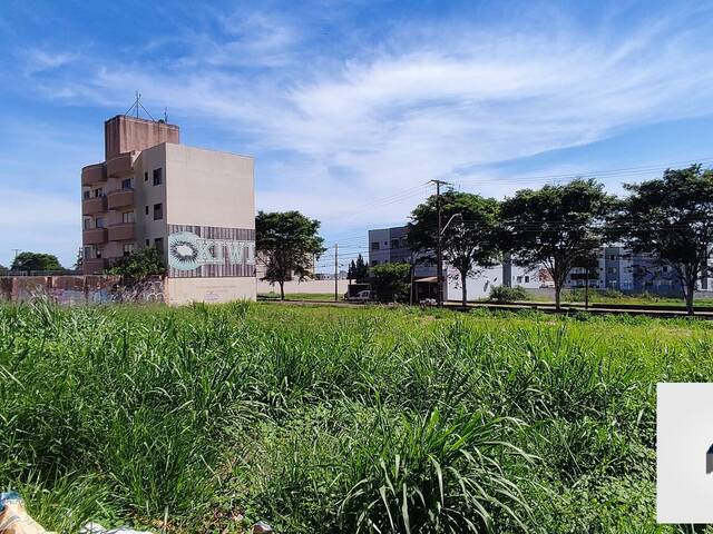 #208 - Terreno para Venda em Cascavel - PR - 3