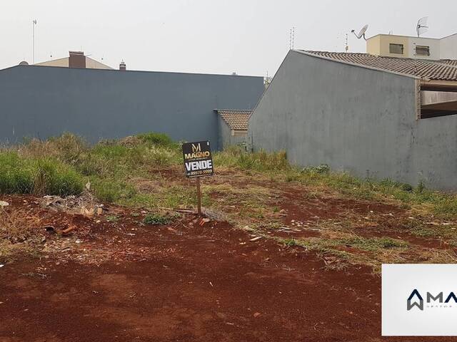#233 - Terrenos para Venda em Cascavel - PR - 1